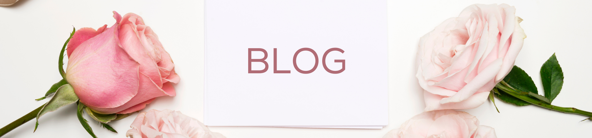 Blog